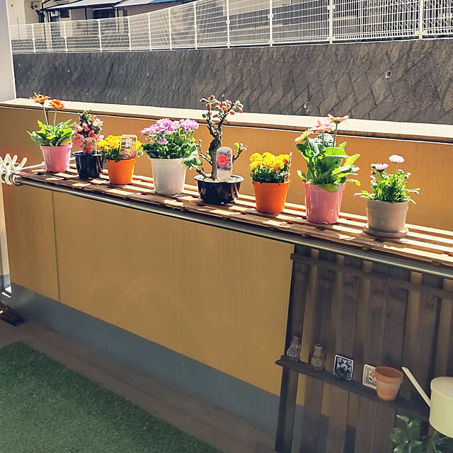 fuutaさんの実例写真