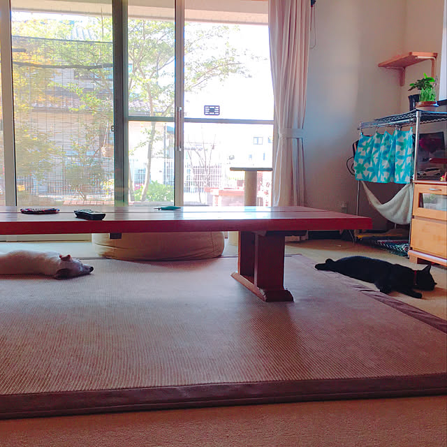 nanaさんの実例写真