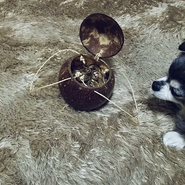 satominさんの実例写真