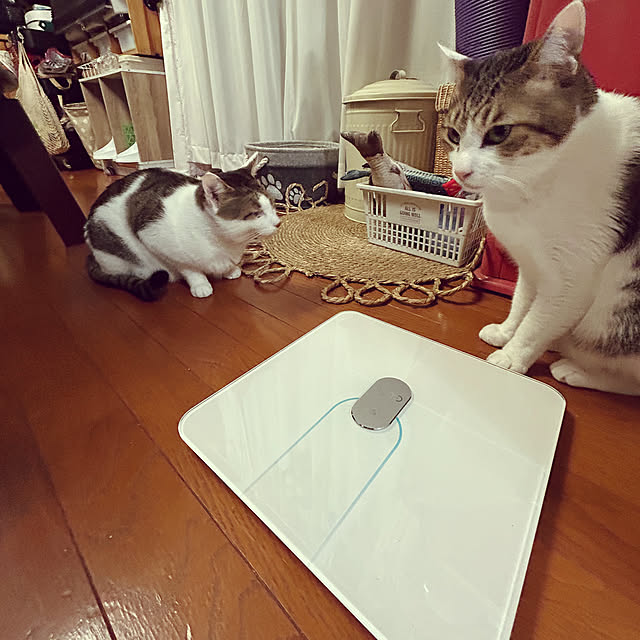 Lufuさんの実例写真