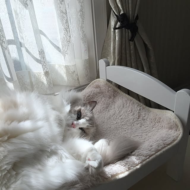 yuchiさんの実例写真