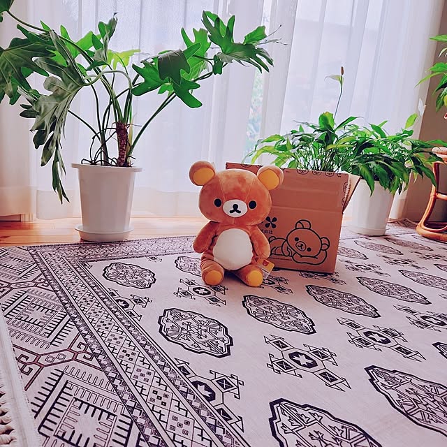 surviveさんの部屋