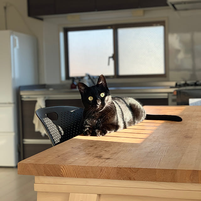simplegooseさんの実例写真