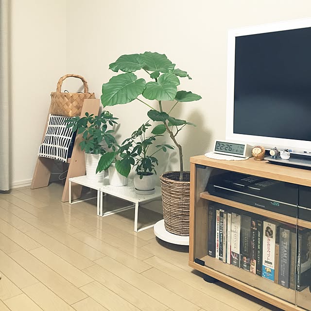 mutsumiさんの実例写真