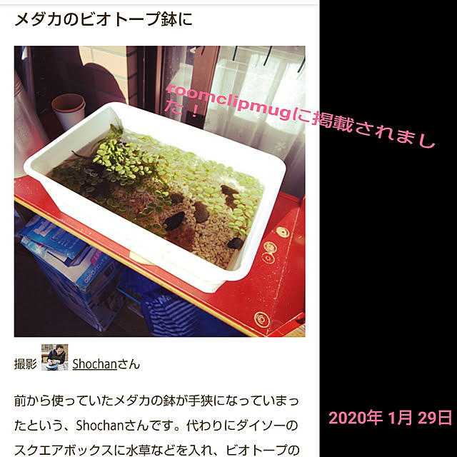 Shochanさんの実例写真