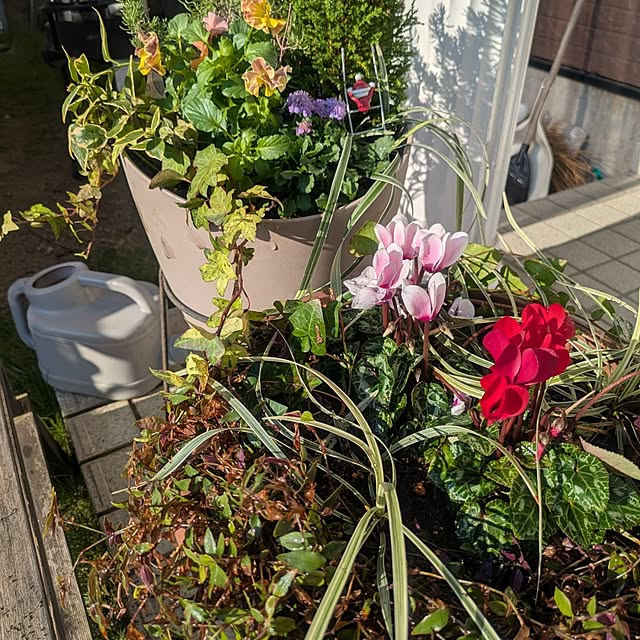 tototo..12.さんの部屋