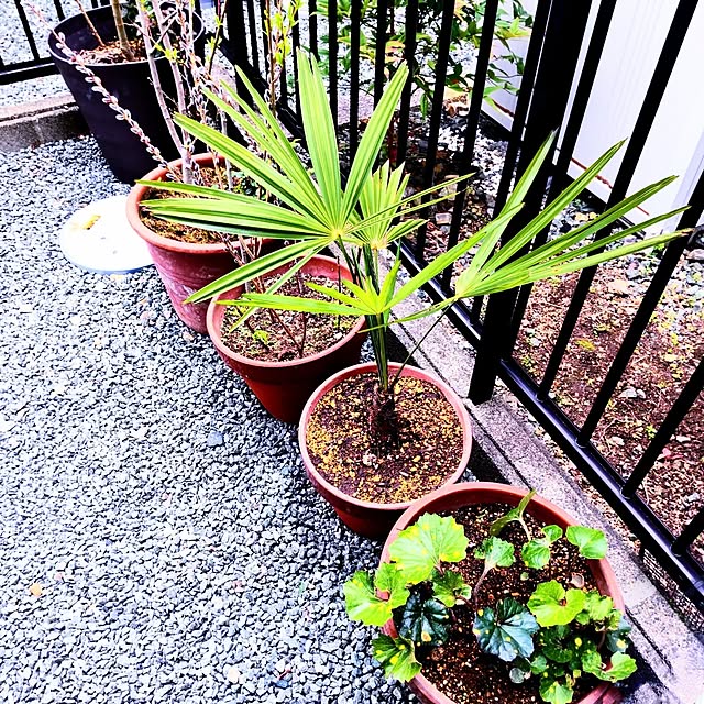 NSDさんの実例写真