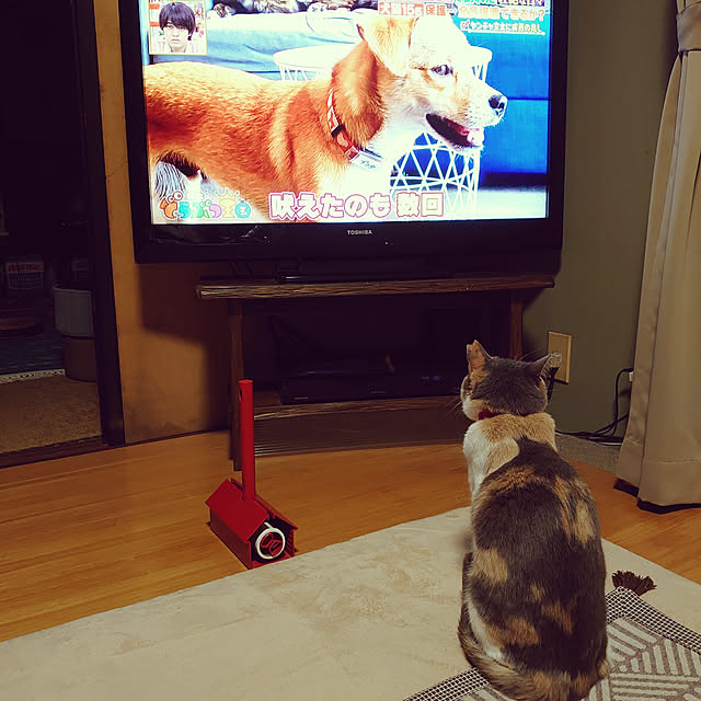 fukuさんの実例写真