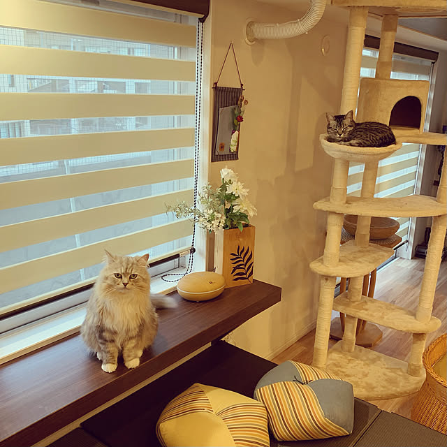 akimamさんの実例写真