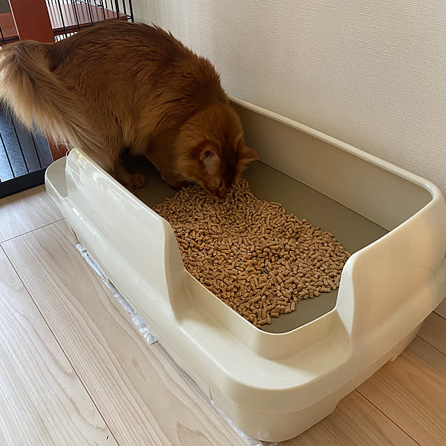 momongaさんの部屋