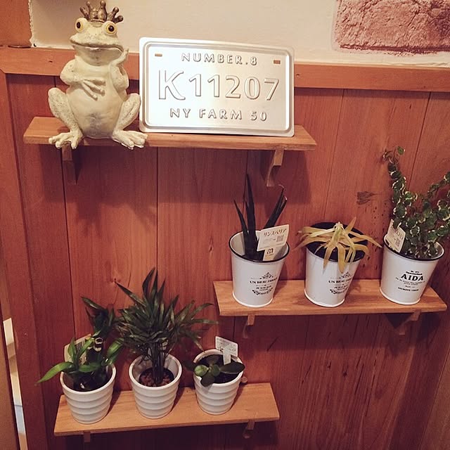実例写真