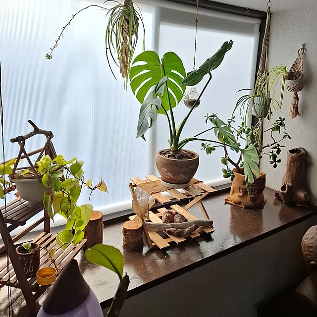 midoriさんの部屋