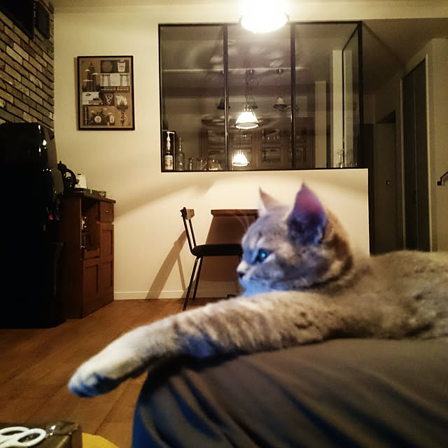 tamaさんの実例写真
