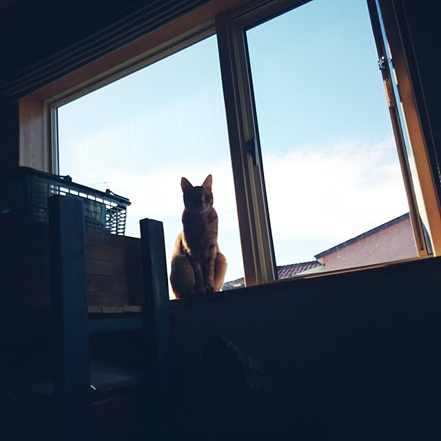 S9000さんの実例写真