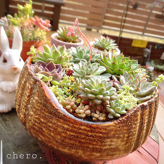 chero.さんの実例写真