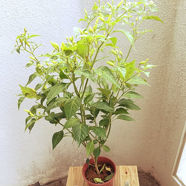 Takeshiさんの実例写真
