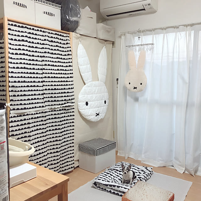 Emiさんの実例写真