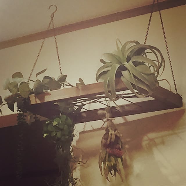 howellさんの実例写真