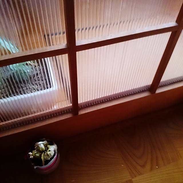玄関/入り口のインテリア実例 - 2016-05-13 19:01:23