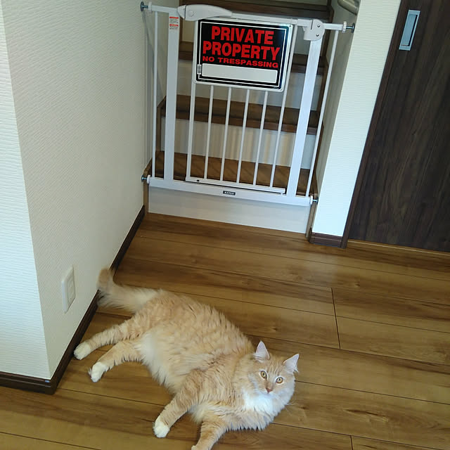 koto.ohanaさんの実例写真