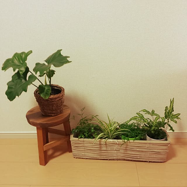 senbowさんの実例写真