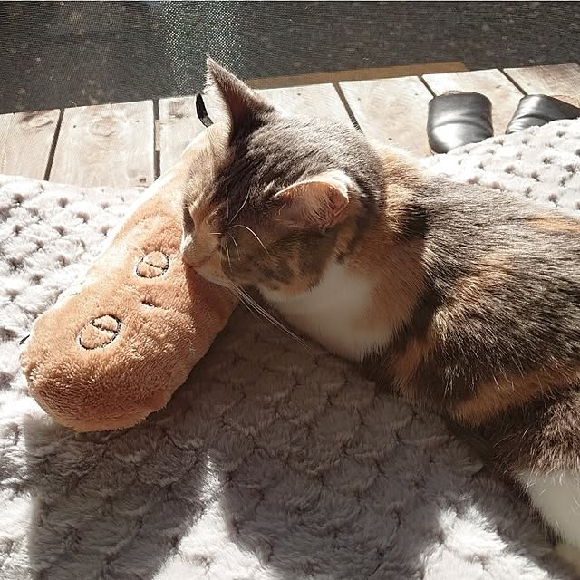 fukuさんの部屋