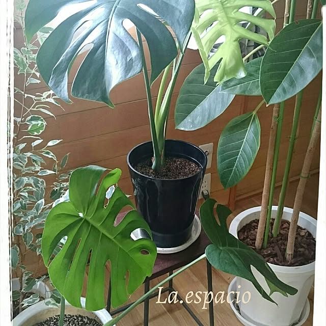 akemiroomさんの実例写真
