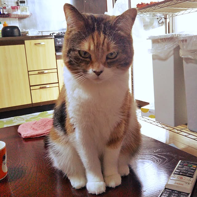 yukieさんの実例写真