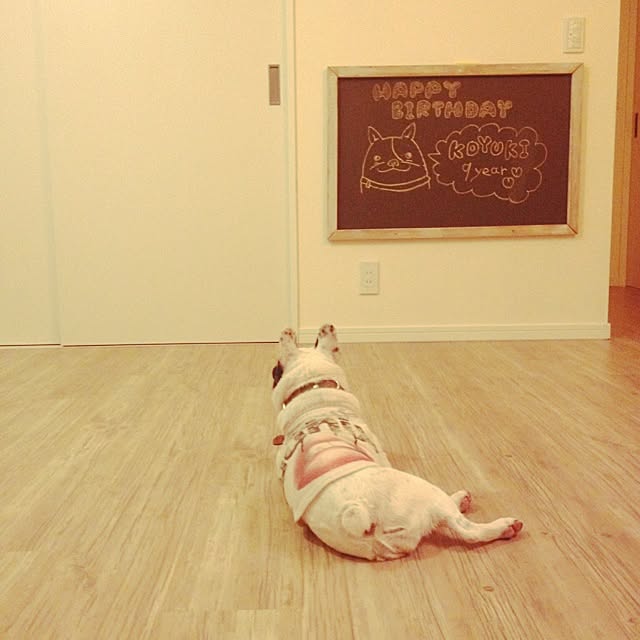実例写真