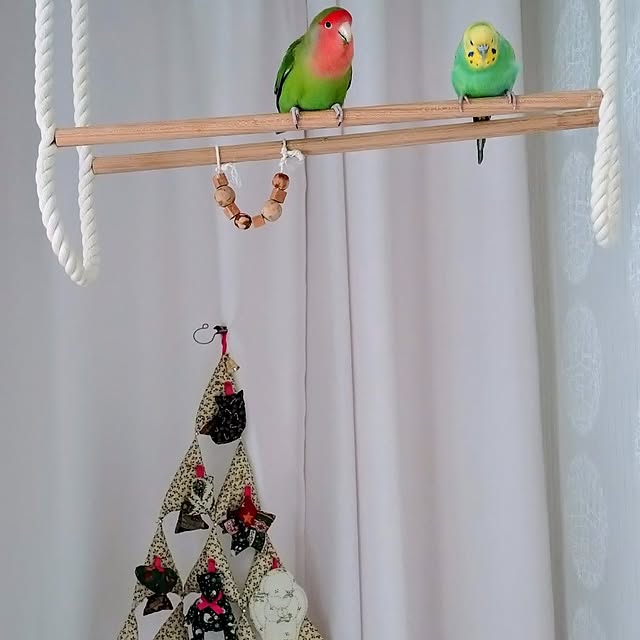 toratanさんの部屋