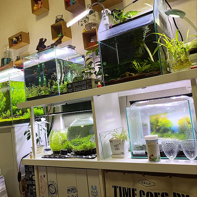 11akoko08さんの実例写真