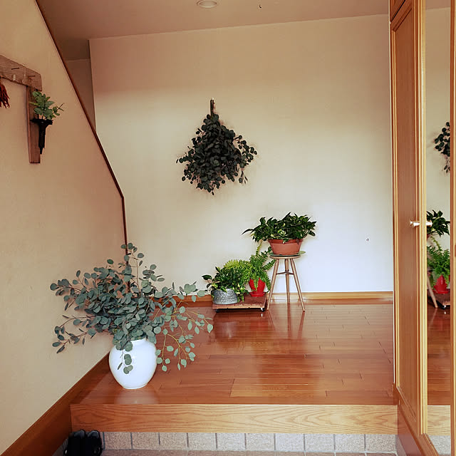 玄関/入り口/観葉植物/ナチュラル/ドライフラワーのインテリア実例 - 2019-10-26 12:06:09
