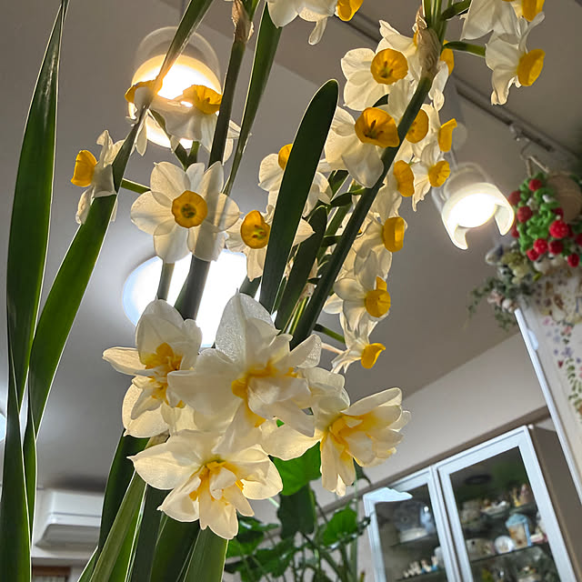 Aqettyさんの部屋