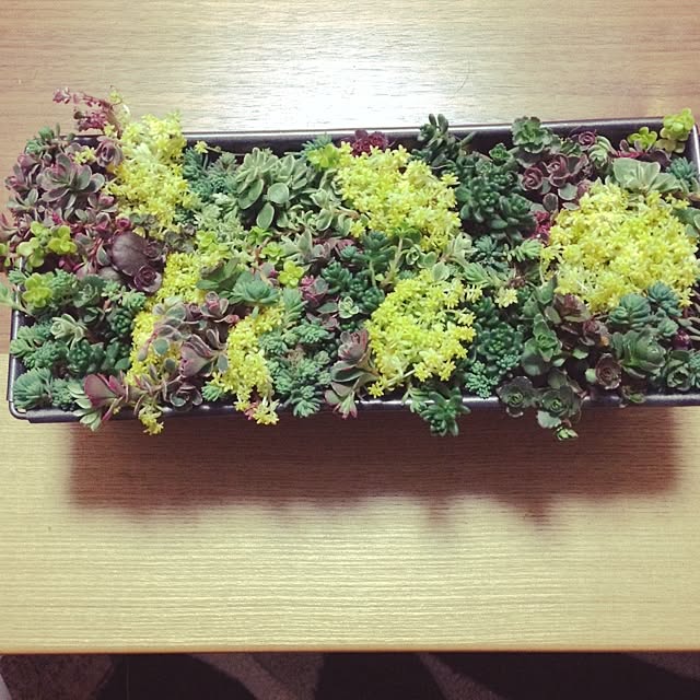 Haruさんの実例写真