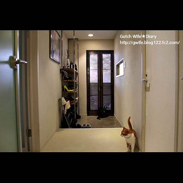 gotchwifeさんの実例写真