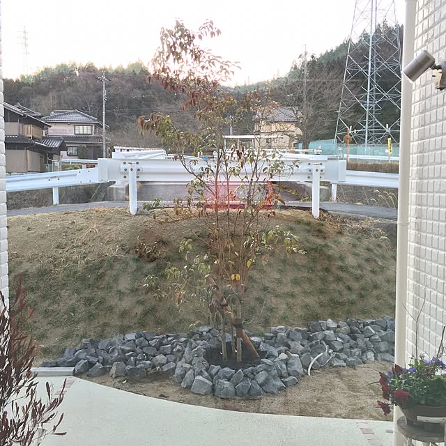 sayapiさんの実例写真