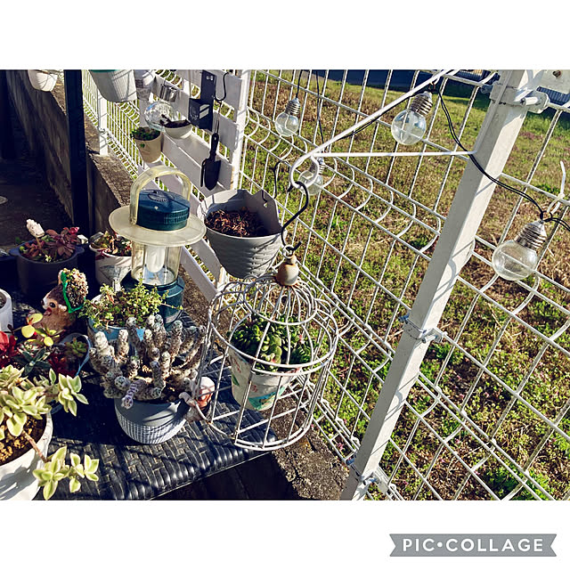 CoCo0617さんの部屋