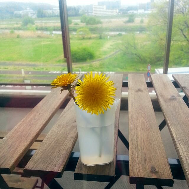 ynecoさんの実例写真