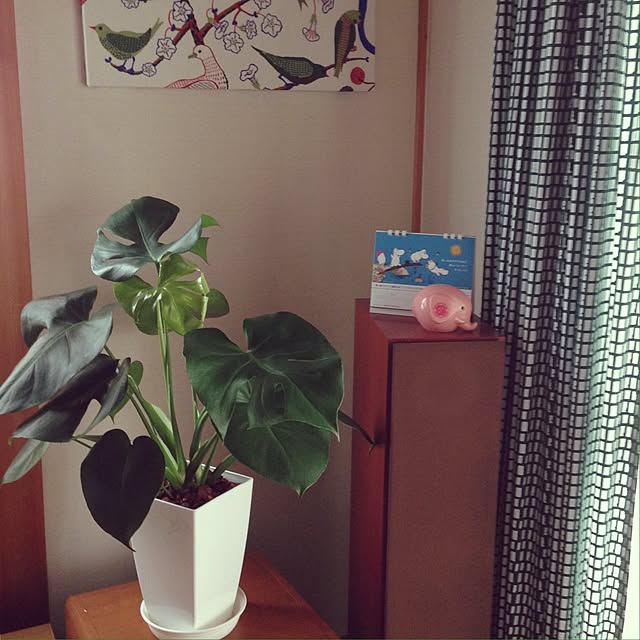 ramさんの実例写真