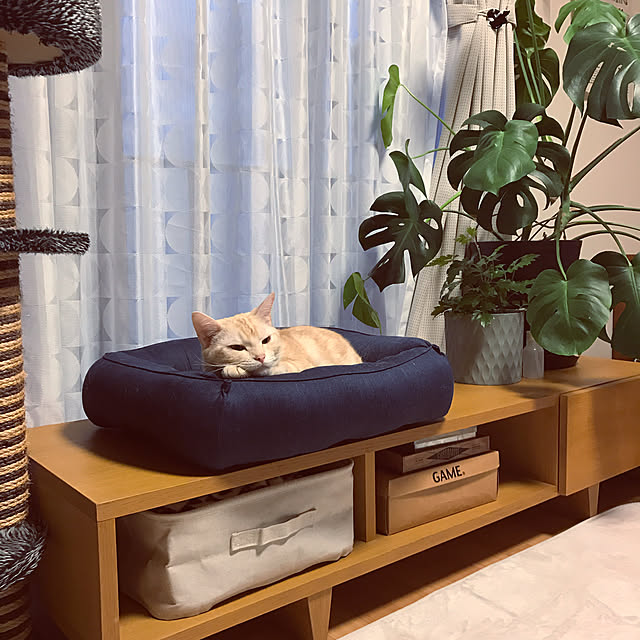 hiyupan88さんの実例写真