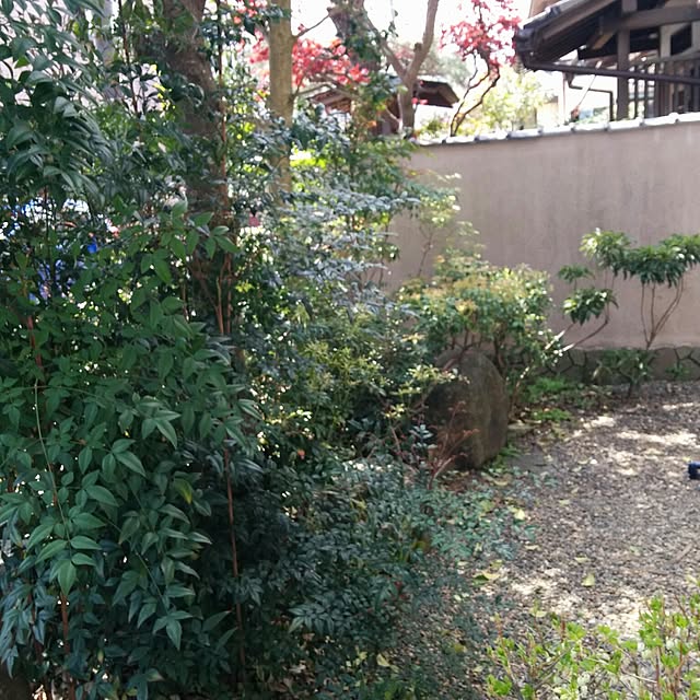 siroさんの実例写真