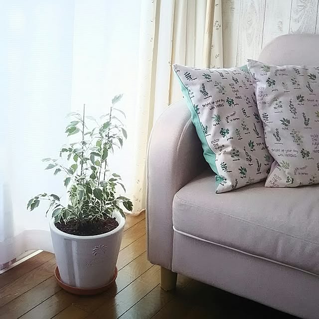 naopyiさんの実例写真