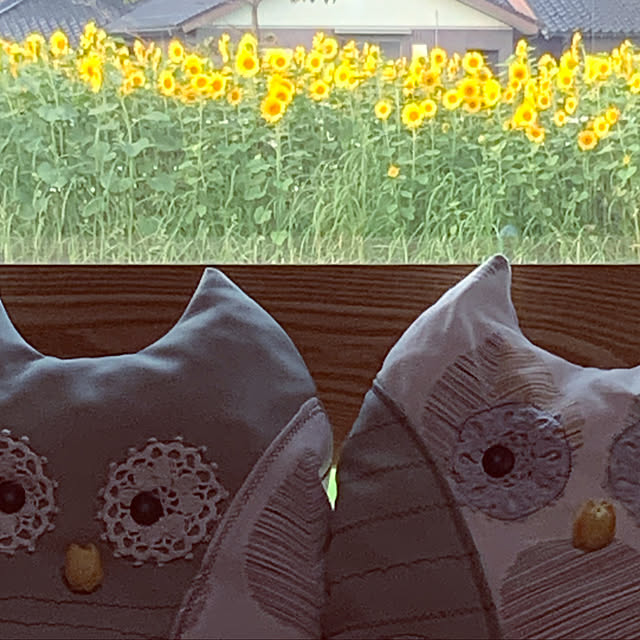 chiiyanさんの実例写真