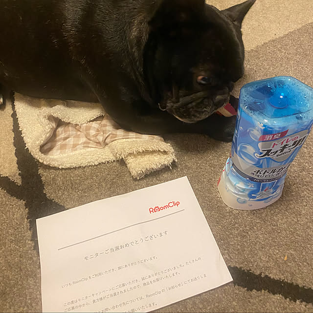 the.shooterさんの実例写真