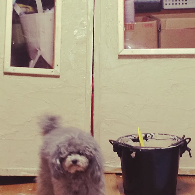 uniperoさんの実例写真