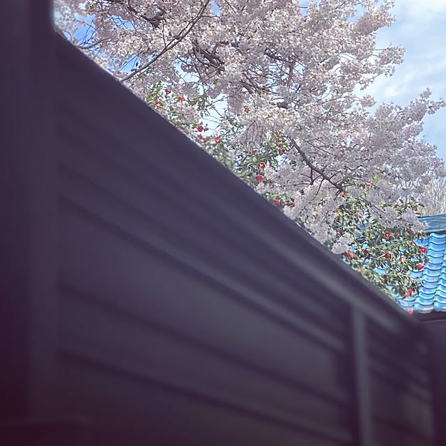 mommyさんの実例写真