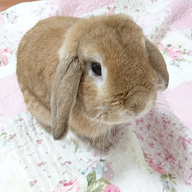 ruruさんの実例写真