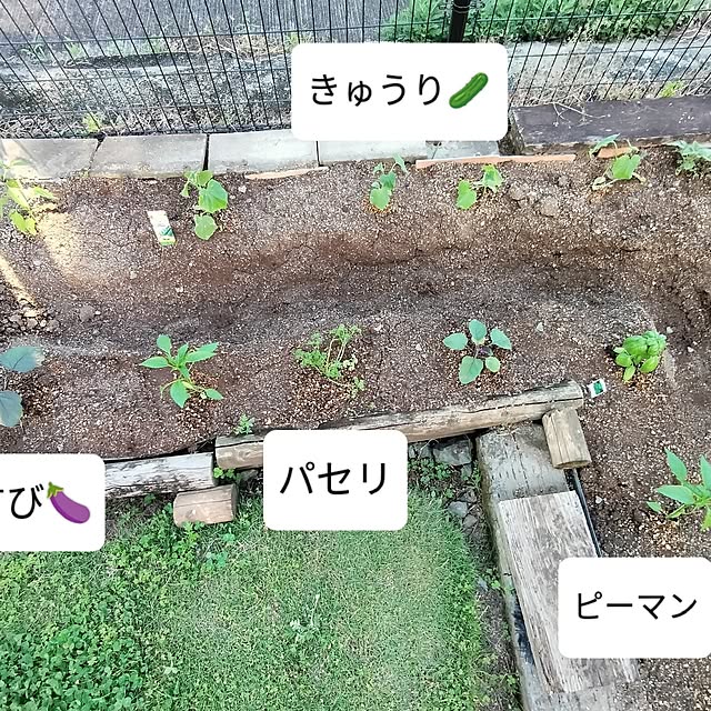 feuileさんの部屋