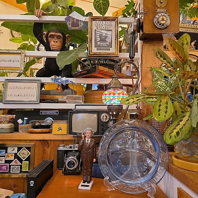実例写真