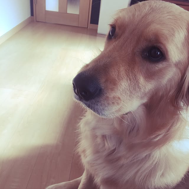 Kazueさんの実例写真